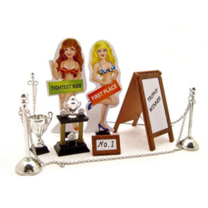 Car Show Trophy Set For 1/24 Scale Model Cars by Kinsfun